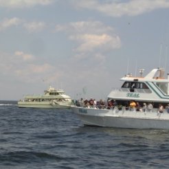 Off the shore party boats.