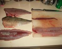 cleaned bluefish fillets